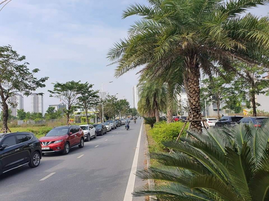 BÁN ĐẤT ĐÀ LẠT